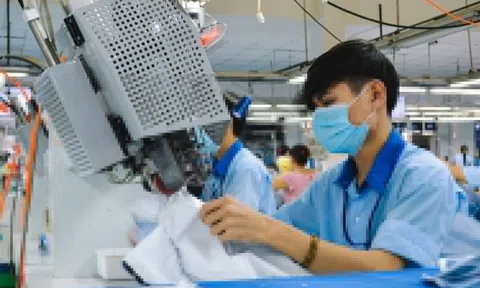 Công ty dệt may TP.HCM vẫn trắng đơn hàng, 6 tháng không thu nổi 1 tỷ