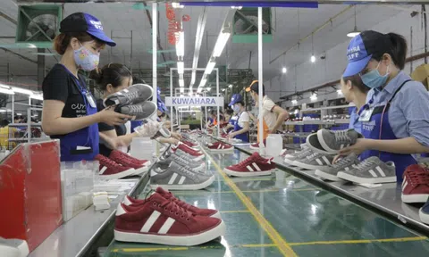 Cổ phiếu Giầy Thượng Đình chạm trần 8 phiên liên tiếp giữa bối cảnh thoái vốn Nhà nước