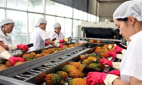 Vì sao Việt Nam tăng nhập khẩu nông sản?