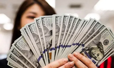 Vì sao tỷ giá USD chợ đen vượt xa giá ngân hàng?