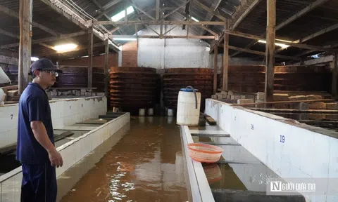 Mưa lũ làm "gián đoạn" chuỗi sản xuất, làng nghề nước mắm Lâm Đồng gấp rút phục hồi