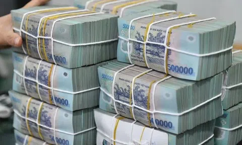 Thanh tra NHNN cảnh báo rủi ro một số khoản vay tại ngân hàng chi nhánh Đà Nẵng