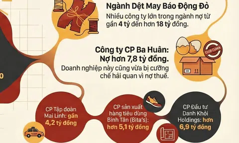 Ba Huân, Color Man Food cùng nhiều công ty khác nợ BHXH tiền tỉ