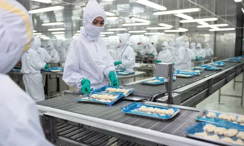 Tổng Giám đốc Fimex xin nghỉ sau gần 3 thập kỷ