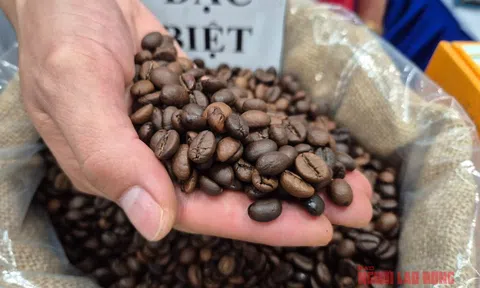 Giá cà phê hôm nay 16-11: Tuần buồn của giá cà phê