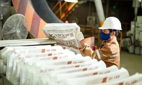 Vừa báo lãi "khủng", cổ phiếu Xi măng Hà Tiên lập tức tím trần
