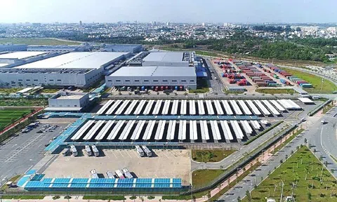 SIP tạm ứng cổ tức tiền mặt 10% sau khi vượt kế hoạch lợi nhuận cả năm chỉ sau 9 tháng