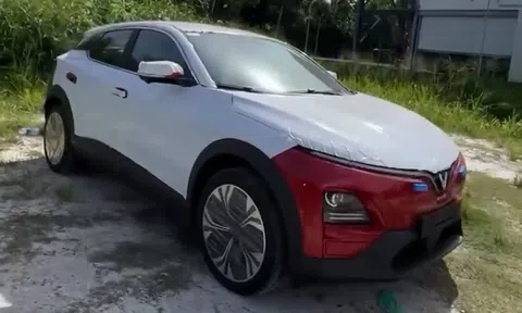 Chưa khai trương, dân Ấn Độ vẫn ào tới các showroom VinFast, sôi sục chờ một thông tin