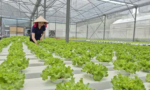 Tháo điểm nghẽn cho nông sản sạch TP HCM