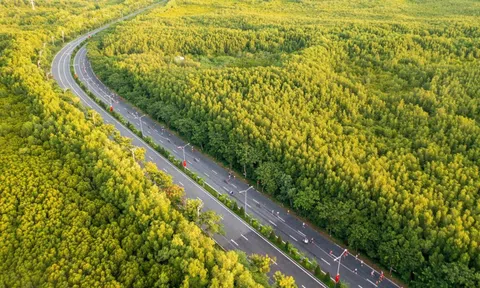 TP.HCM sẽ khởi công hàng loạt dự án hạ tầng trọng điểm kết nối Cần Giờ