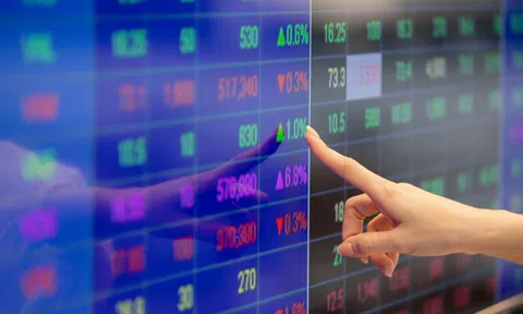 Cổ phiếu duy nhất tăng trần trên HoSE ngày VN-Index rơi 80 điểm