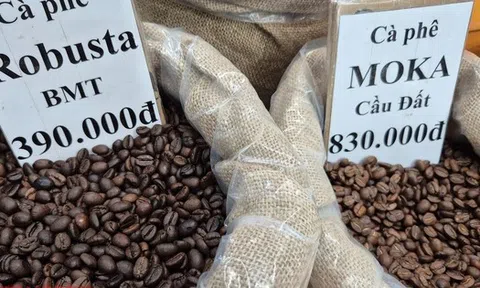 Giá cà phê hôm nay 22-11: Giảm mạnh khi Mỹ xóa thuế cho cà phê Brazil