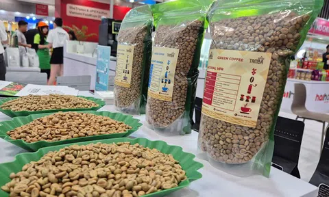 "Cân não" trước vụ cà phê mới