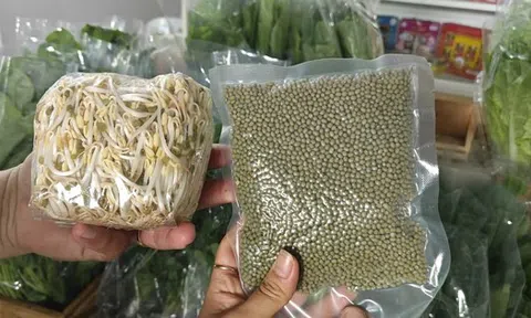 Lo giá đỗ ngâm hóa chất, người tiêu dùng "săn" giá ốm, rễ dài ở chợ xanh