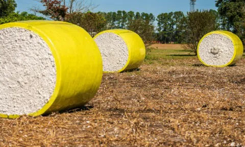 Mỹ đã chi hơn 10 tỷ USD mua một mặt hàng quan trọng của Việt Nam: Nước ta vừa vươn lên đứng thứ 2 thế giới, hàng trăm quốc gia đã đặt gạch mua hàng