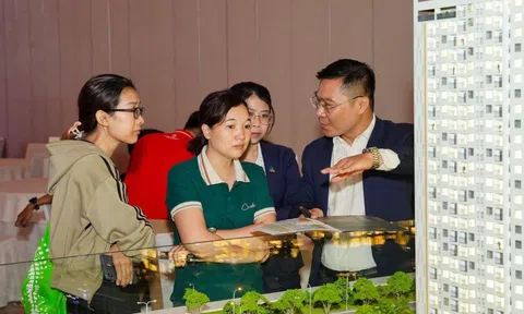 Căn hộ 2PN chỉ từ 1,86 tỷ tại Đông Bắc Thành phố Hồ Chí Minh