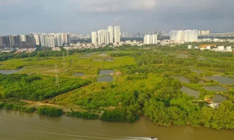 Quốc Cường Gia Lai bán thêm 2 công ty để lấy lại dự án Bắc Phước Kiến