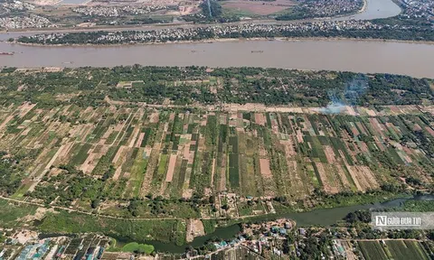 Hà Nội cho phép khai thác đất nông nghiệp bãi sông, bãi nổi