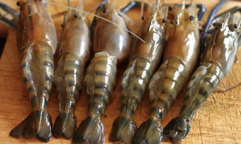 6 thói quen ăn uống âm thầm tàn phá sức khỏe