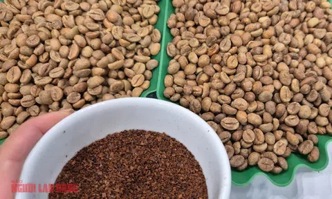 Giá cà phê hôm nay 28-1: Tăng nóng