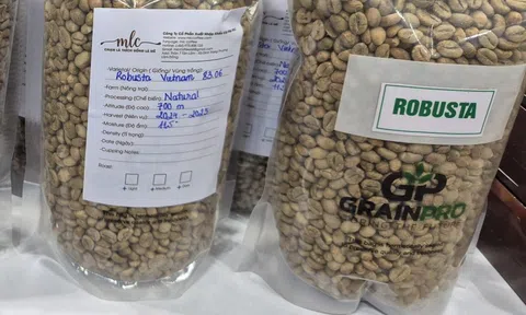 Giá cà phê hôm nay 3-1: Tiếp tục tăng