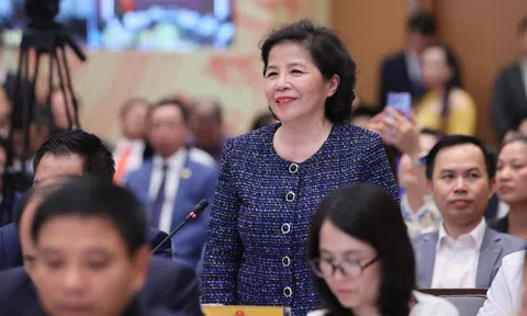 Bà Mai Kiều Liên: Không nên để doanh nghiệp vật lộn với chính sách