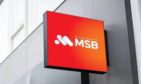 MSB công bố khung tài chính bền vững
