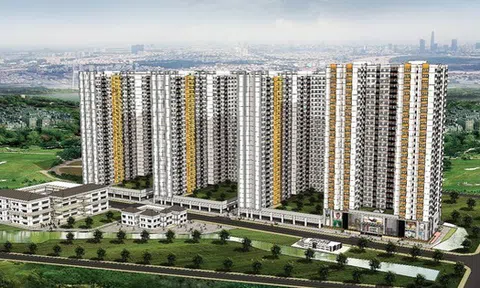 Năm Bảy Bảy chuyển nhượng công ty khai thác đá tại Quảng Ngãi