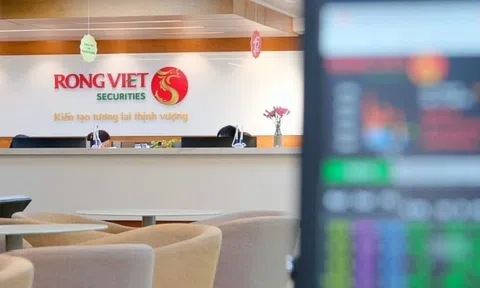 Chứng khoán Rồng Việt lãi kỷ lục