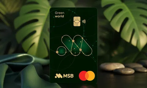 MSB Mastercard green world: Hành trình xanh cho những nhà lãnh đạo tiên phong