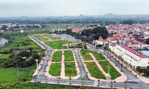 Rà soát dữ liệu gần 50 triệu thửa đất trên toàn quốc