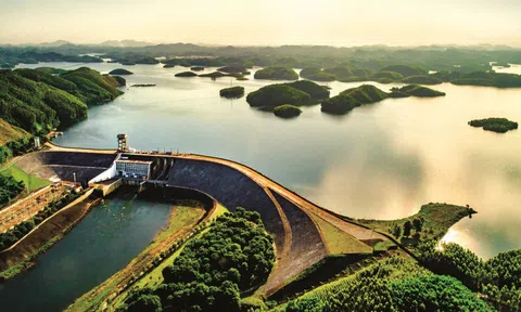 Thủy điện Thác Bà sắp chi 63,5 tỷ đồng trả cổ tức