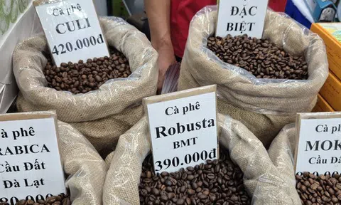 Giá cà phê hôm nay 29-11: Thêm phiên tăng và định hướng mới của cà phê Việt