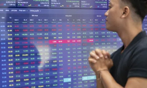 Chứng khoán ra sao trong tuần giao dịch cuối cùng của năm 2025?