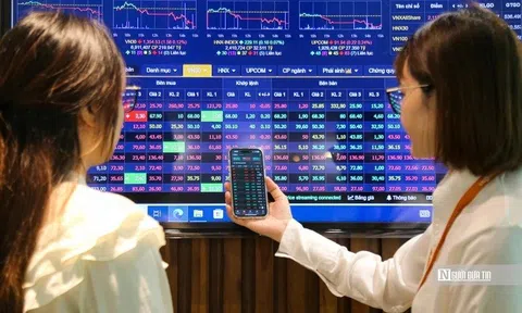 Quỹ đầu tư: Thuốc “giảm đau” cho nhà đầu tư ít kinh nghiệm