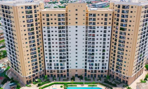 Đại gia đứng sau giải đấu võ thuật MMA sang làm sếp Thuduc House