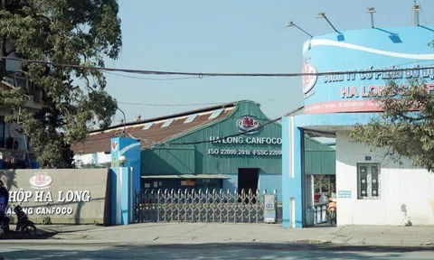 Nhà máy Đồ hộp Hạ Long - Hải Phòng tạm dừng sản xuất sau khi Tổng Giám đốc bị bắt