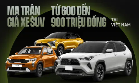 Ma trận 16 xe giá 600-900 triệu đồng: Mitsubishi Destinator về Việt Nam 'chen chân' vào đâu?