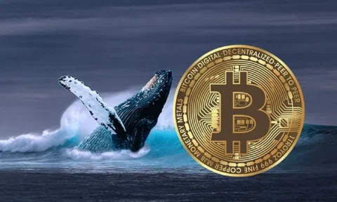 Thị trường tiền số hôm nay, 11-1: "Cá voi" Bitcoin bất ngờ quay xe