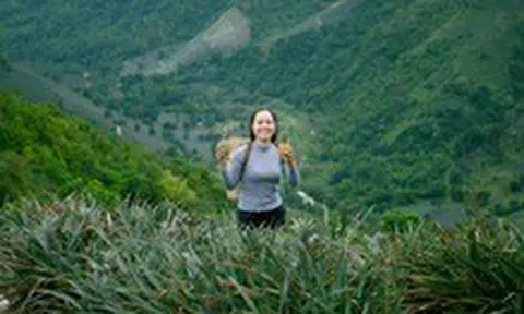 Ngắm hoàng hôn, ăn dứa no nê tại thung lũng Đồng Din