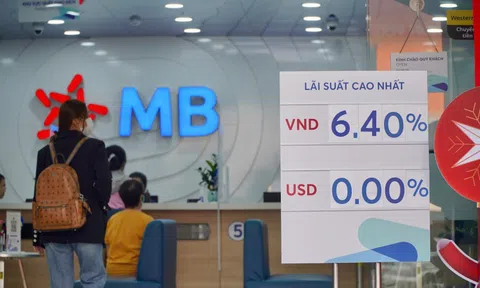 Lãi suất sẽ sớm hạ nhiệt