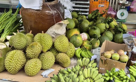 Giá sầu riêng Ri 6 rẻ bất ngờ