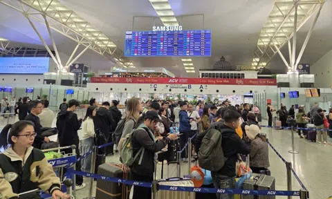 Năm 2025, Cục Hàng không Việt Nam đã tiếp nhận đăng ký thêm 17 máy bay