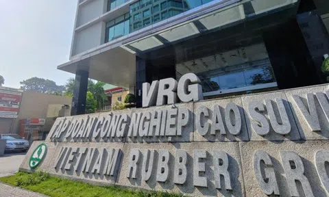 Thanh tra Chính phủ chỉ điểm loạt vi phạm tài chính, đầu tư tại Tập đoàn Cao su Việt Nam