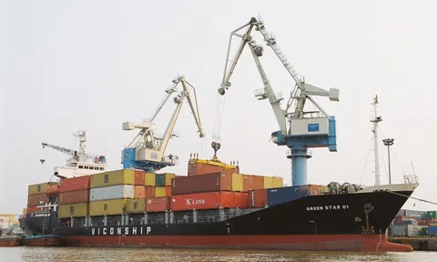 Viconship chốt quyền tham dự ĐHĐCĐ thường niên 2026