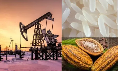 Thị trường ngày 16/4: Dầu giảm, vàng tăng, đường thấp nhất 2 năm