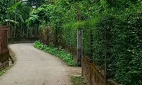 Mùa xuân về Huế, thong dong ở làng Thủy Biều cổ xưa