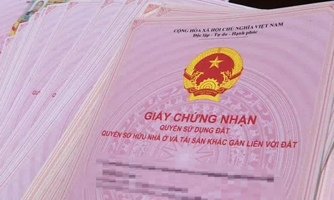 Nhiều dự án được cấp sổ hồng trước Tết