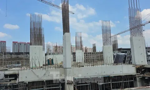 Người dân khó nộp hồ sơ online mua NOXH, chủ đầu tư nói gì?