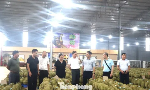 Doanh nghiệp Trung Quốc nói gì về chất lượng sầu riêng Việt Nam?